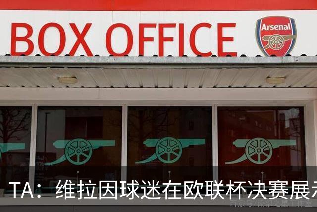 TA：维拉因球迷在欧联杯决赛展示歧视性横幅，被罚款1万欧元